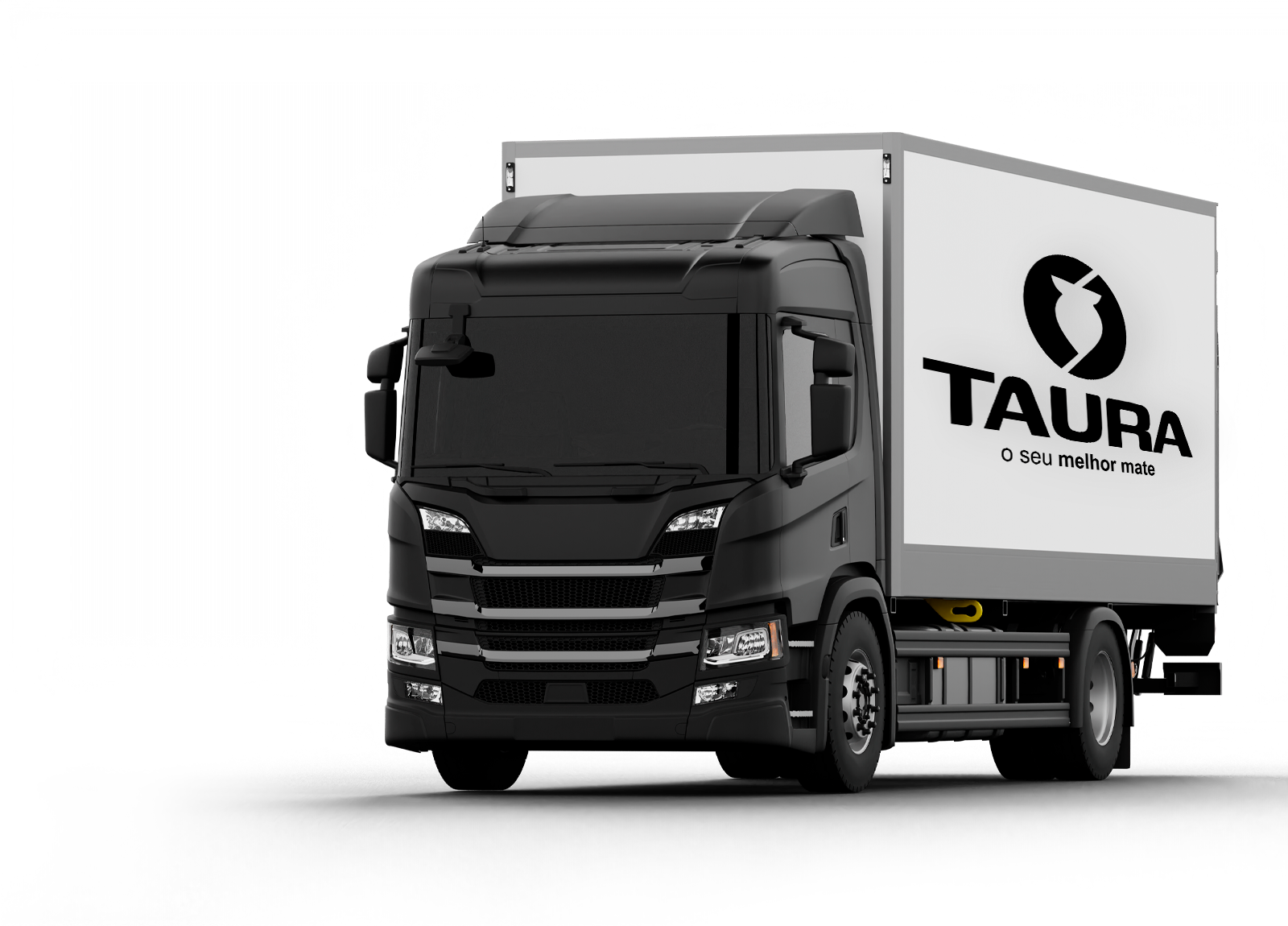 Caminhão - Logística própria